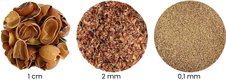 étude de cas coques de féverolles, broyage