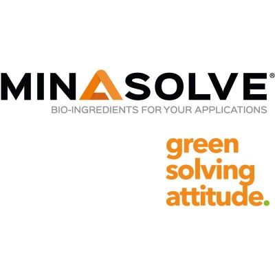 logo minasolve