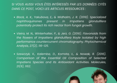 Balsamine de l'Himalaya carrousel interactif sur ses origines, sa gestion, la prolifération et son impact