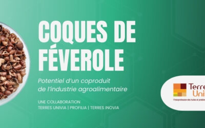 Etude d’un coproduit : la coque de féverole