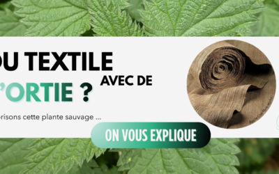 L&rsquo;ortie : une plante sauvage à valoriser dans le textile